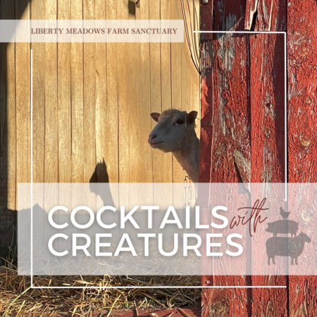 Cocktails with Creatures Ticket