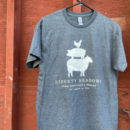 Charcoal Logo Tee Shirt - Adults